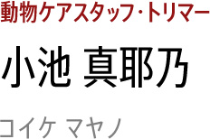 小池 真耶乃