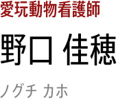 野口 佳穂